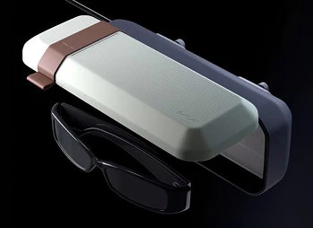 Sunglasses Case